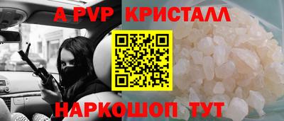 амф Кингисепп
