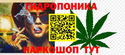 эйфоретик Кимры