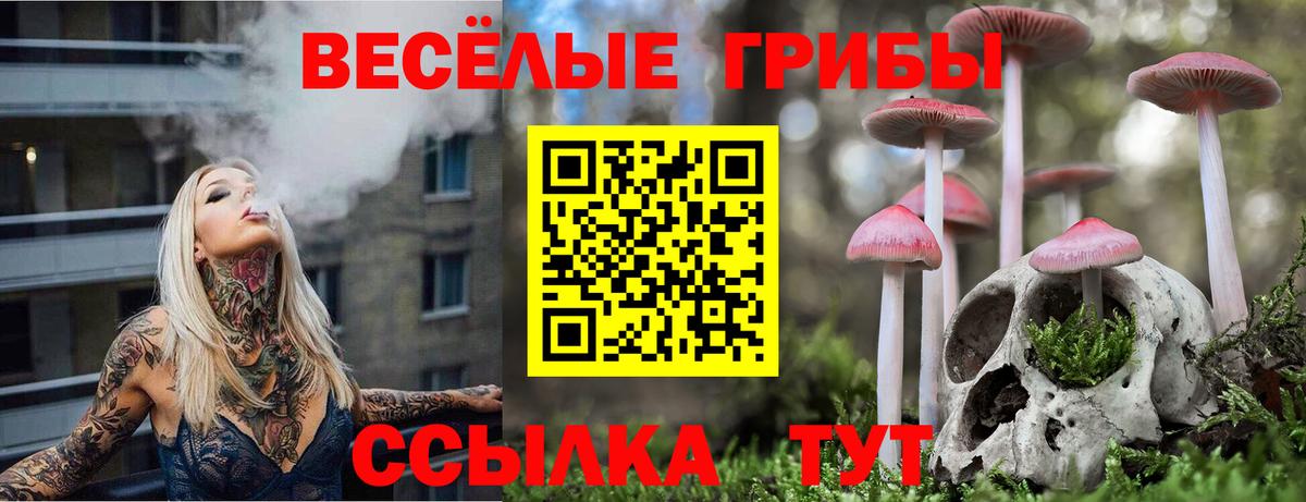 Ковров  Галлюциногенные грибы прущие грибы  Вход с VPN  Псилоцибиновые грибы Psilocybine cubensis 